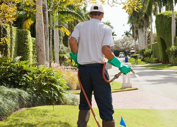 About Albany WI Pest Control Pros